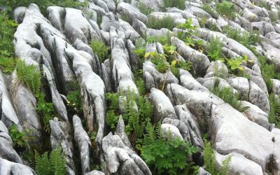 Rochers en montagne